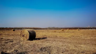 Casholot Cazino Cazinou Aplicație mobilă
